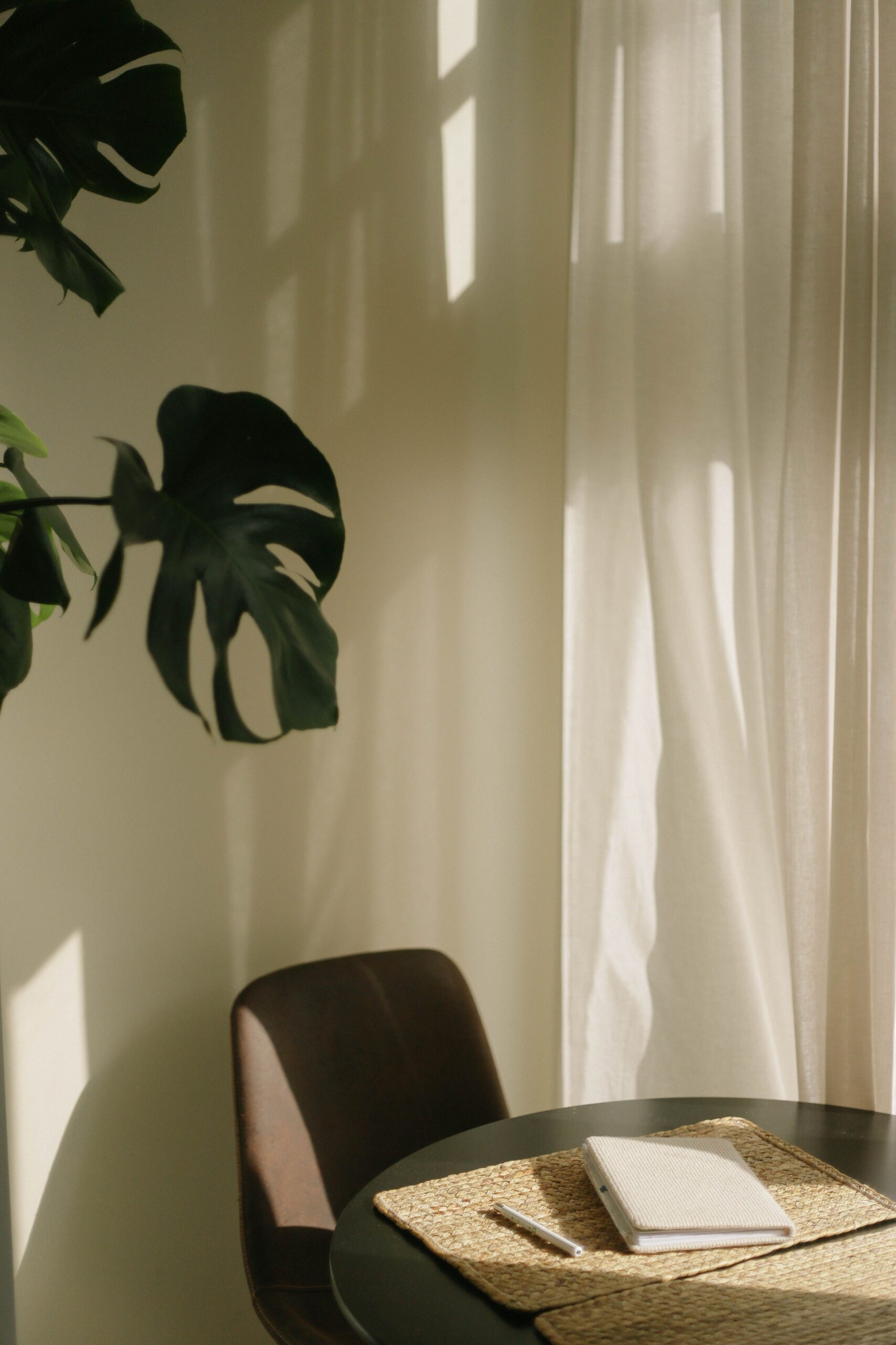 pexels-anna-67884921-10314737